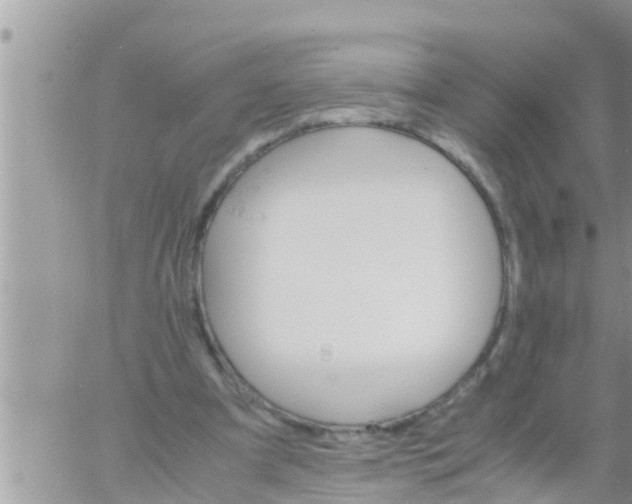 X0000061140297200512091941