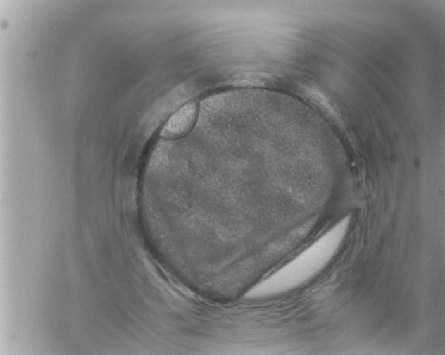 X0000061140299200512091941