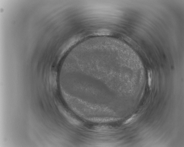 X0000061140300200512091941