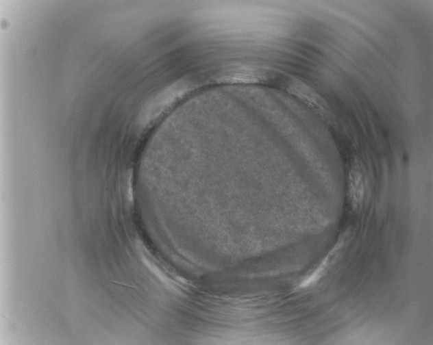 X0000061140302200512091941