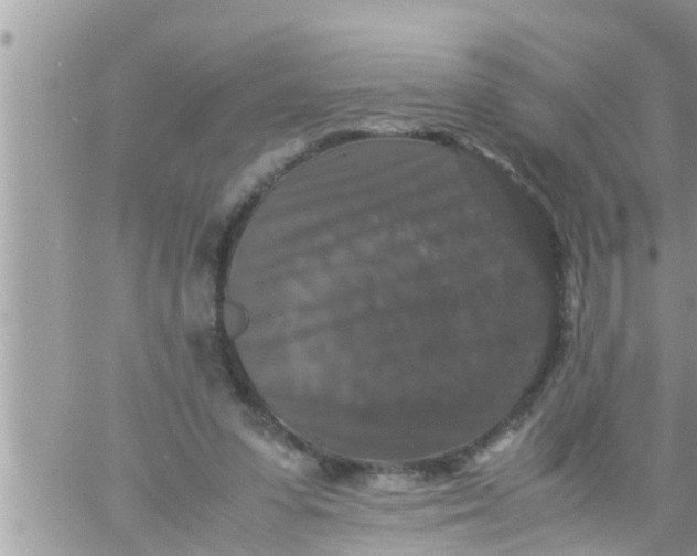 X0000061140303200512091940