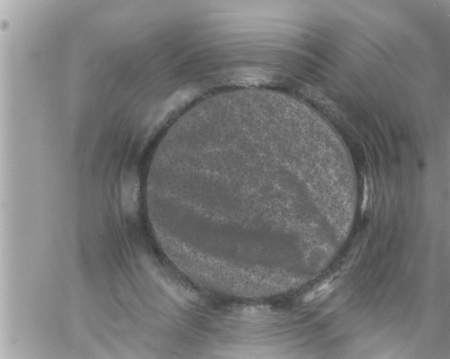 X0000061140304200512091940