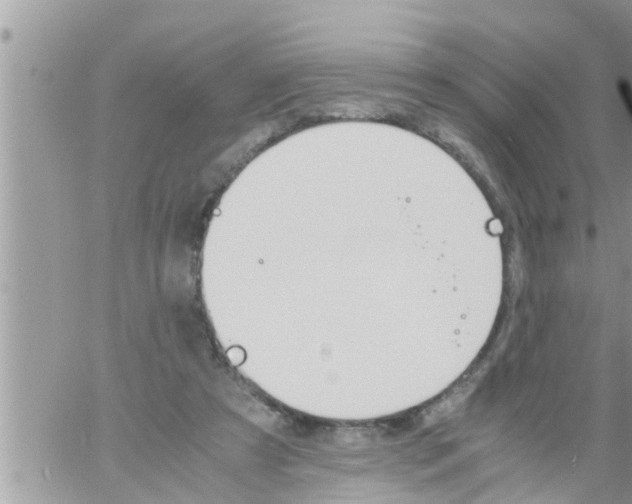 X0000061140305200512091940