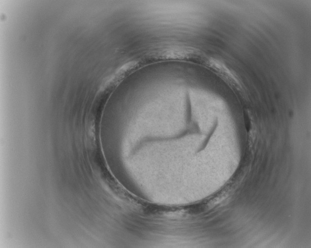 X0000061140306200512091940