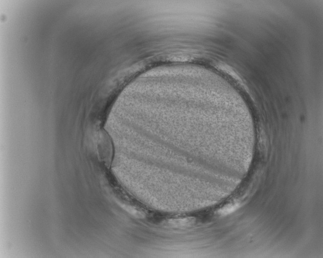 X0000061140307200512091940