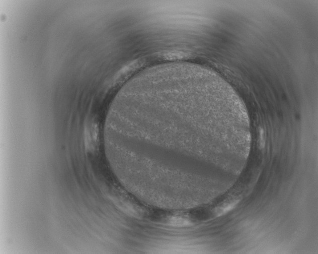 X0000061140308200512091940