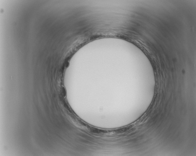 X0000061140309200512091940