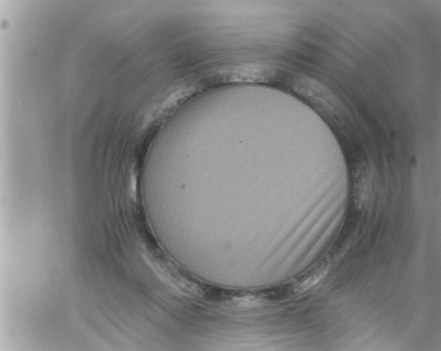 X0000061140310200512091940