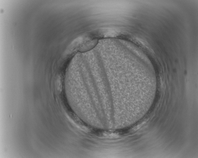 X0000061140311200512091940