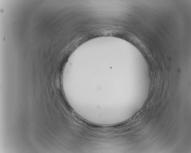 X0000061140313200512091940