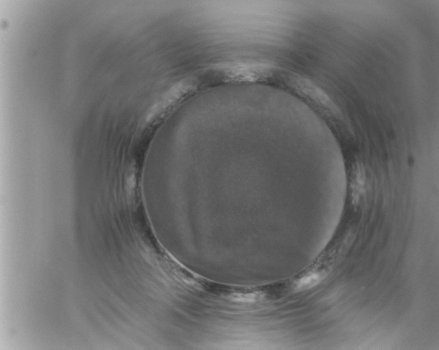 X0000061140314200512091940