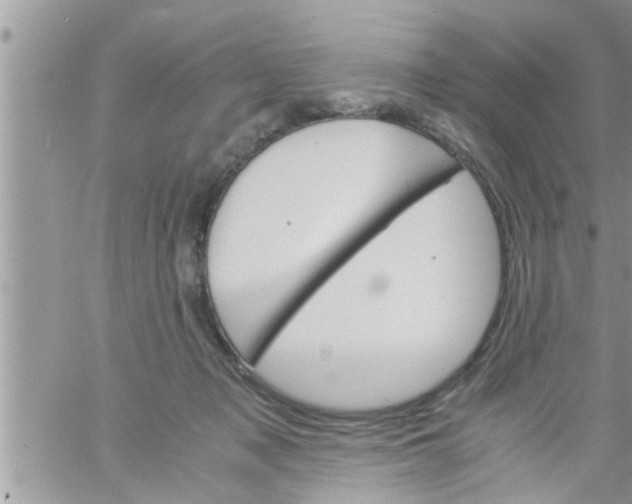 X0000061140317200512091940