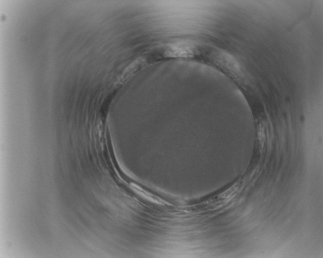 X0000061140322200512091940