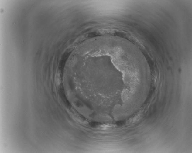 X0000061140323200512091940