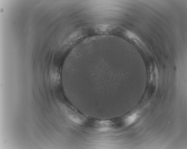 X0000061140324200512091940