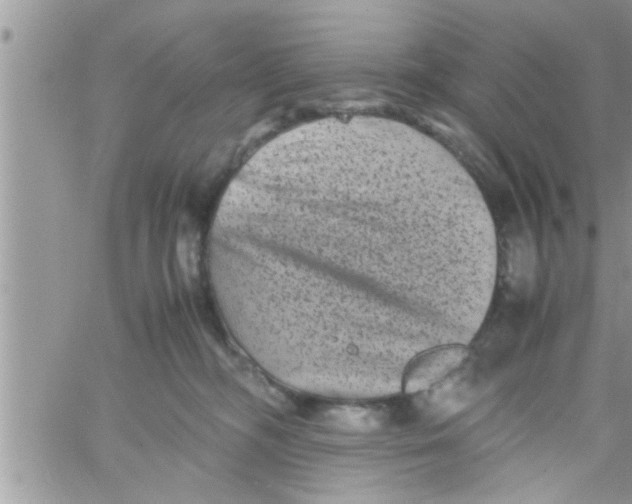 X0000061140326200512091940