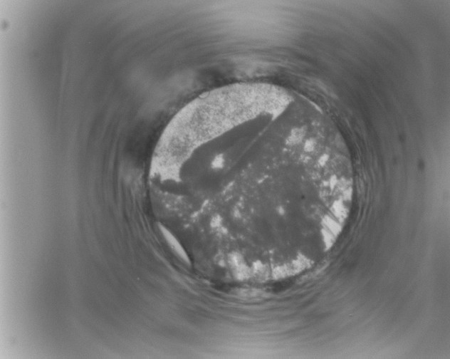 X0000061140327200512091940