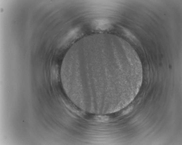 X0000061140328200512091940