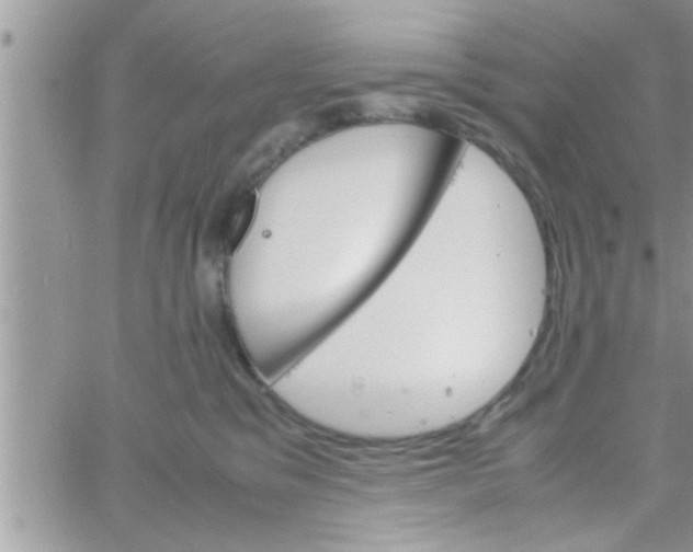 X0000061140329200512091940