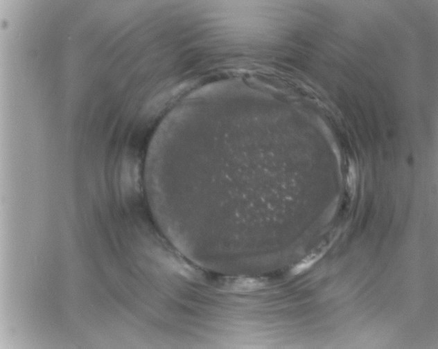 X0000061140330200512091940