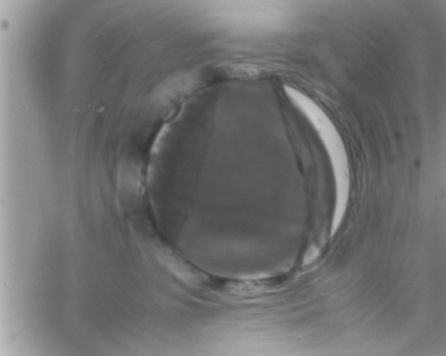 X0000061140331200512091940