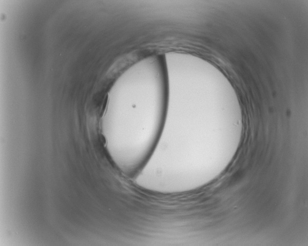 X0000061140333200512091940