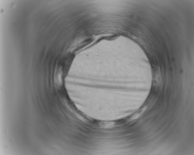 X0000061140334200512091940