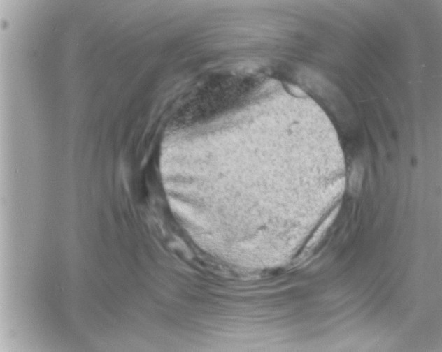 X0000061140335200512091940