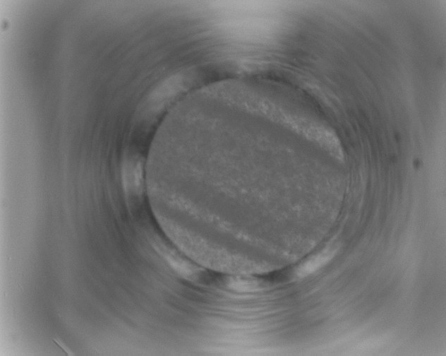 X0000061140336200512091940