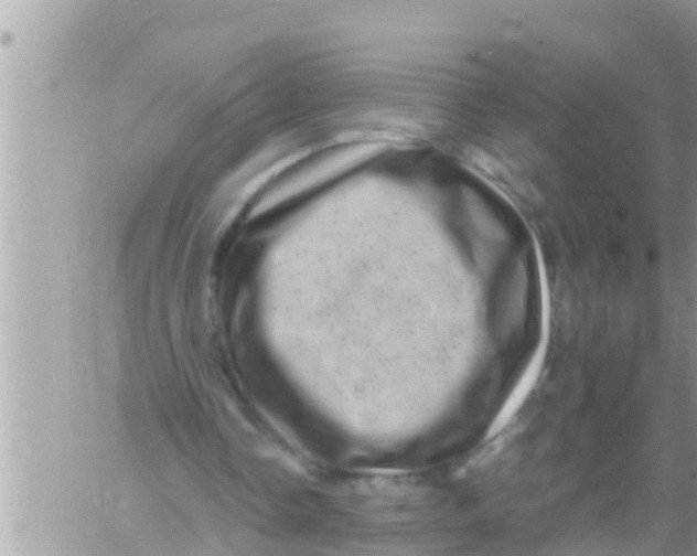 X0000061140338200512091939