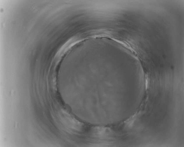 X0000061140339200512091939