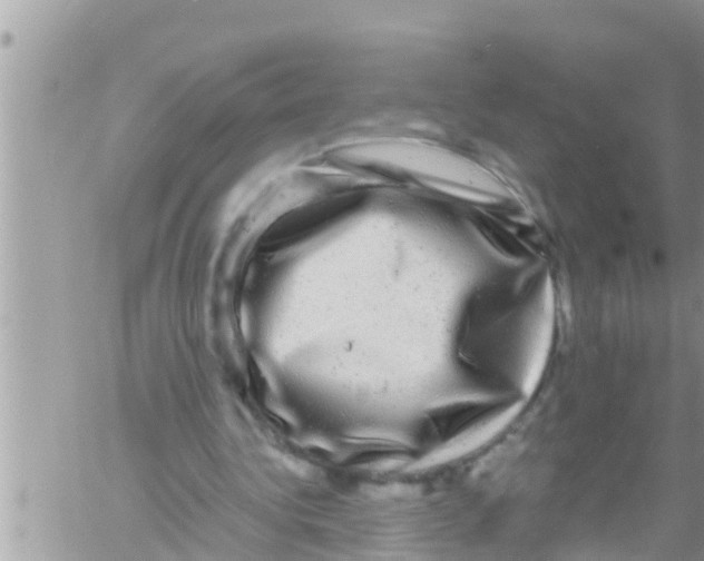 X0000061140340200512091939