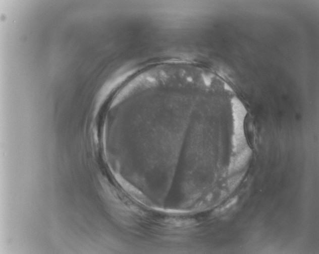 X0000061140343200512091939