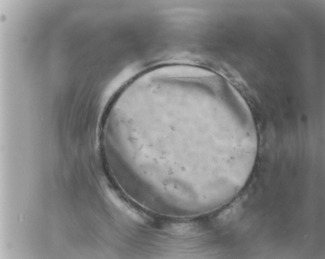 X0000061140344200512091939