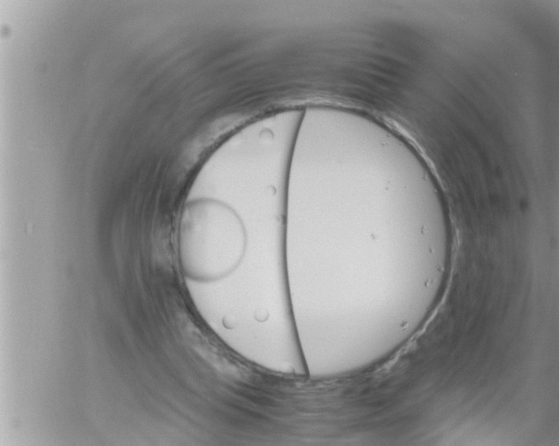 X0000061140345200512091939