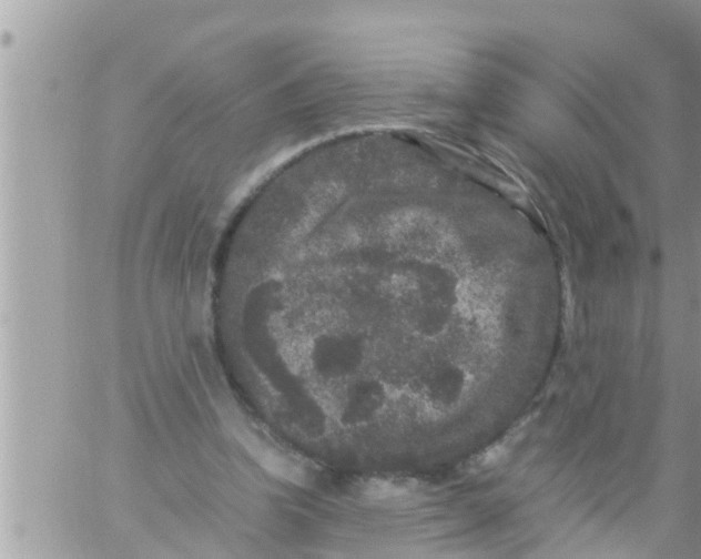 X0000061140346200512091939