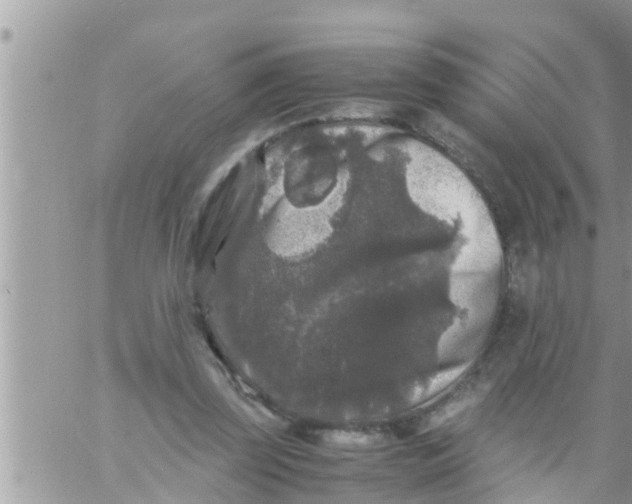 X0000061140347200512091939