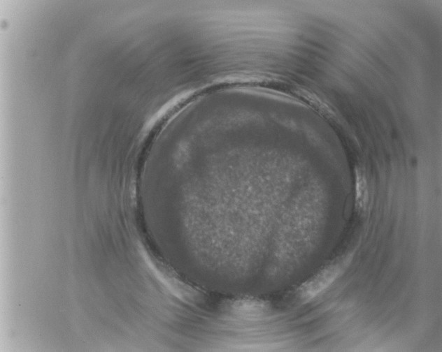 X0000061140348200512091939