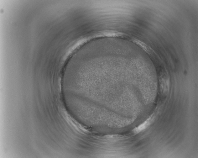 X0000061140350200512091939