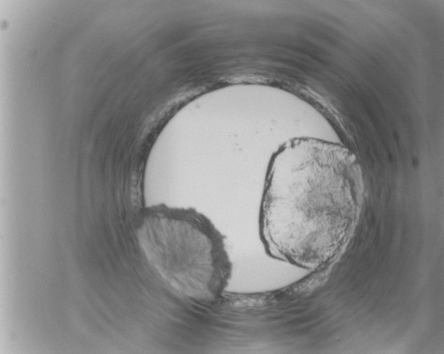 X0000061140353200512091939