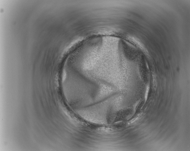 X0000061140354200512091939