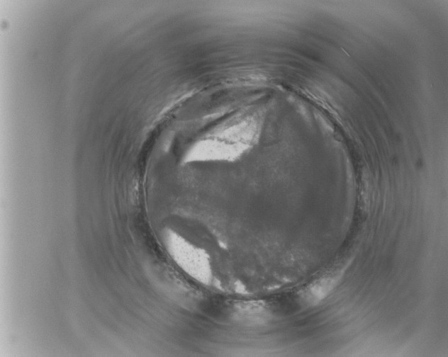 X0000061140355200512091939