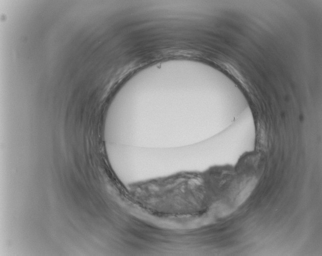 X0000061140357200512091939