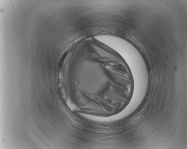 X0000061140359200512091940