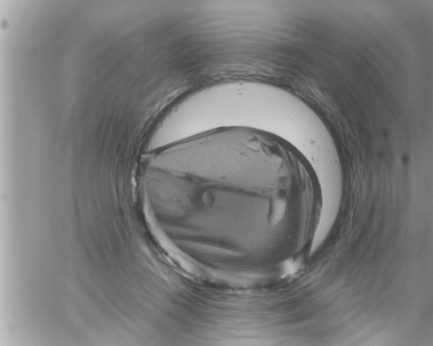 X0000061140360200512091940