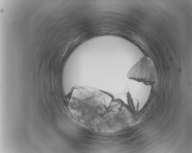 X0000061140361200512091940