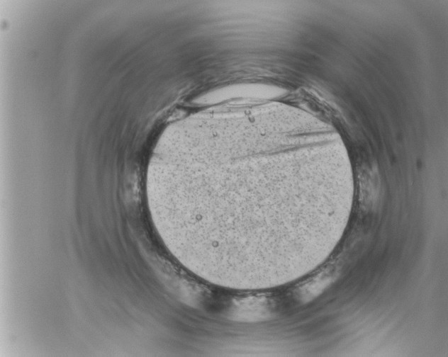 X0000061140362200512091940