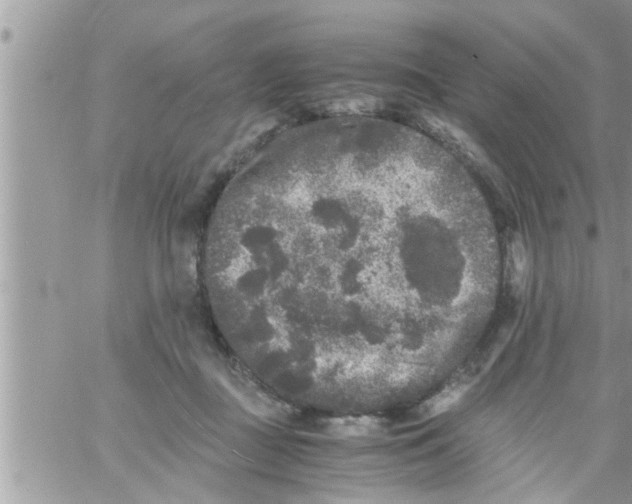 X0000061140363200512091940