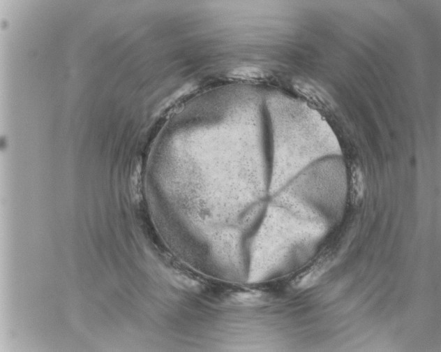 X0000061140364200512091940