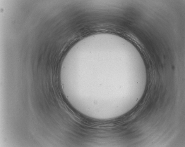 X0000061140365200512091940